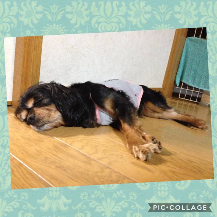 A840d108 b650 45f9 9b34 c7e324c6286e 1537766271381