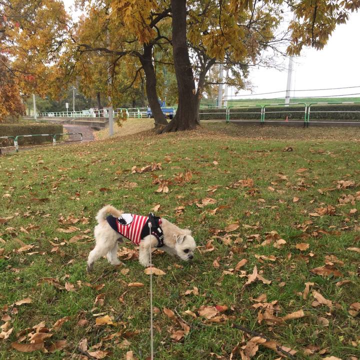 A840f372 55fe 499d 917c 8a5382104855 1543314533818