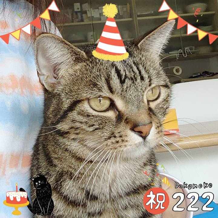 A840ff0d 05ce 47fc aca8 571b5ec50393 1645535236242