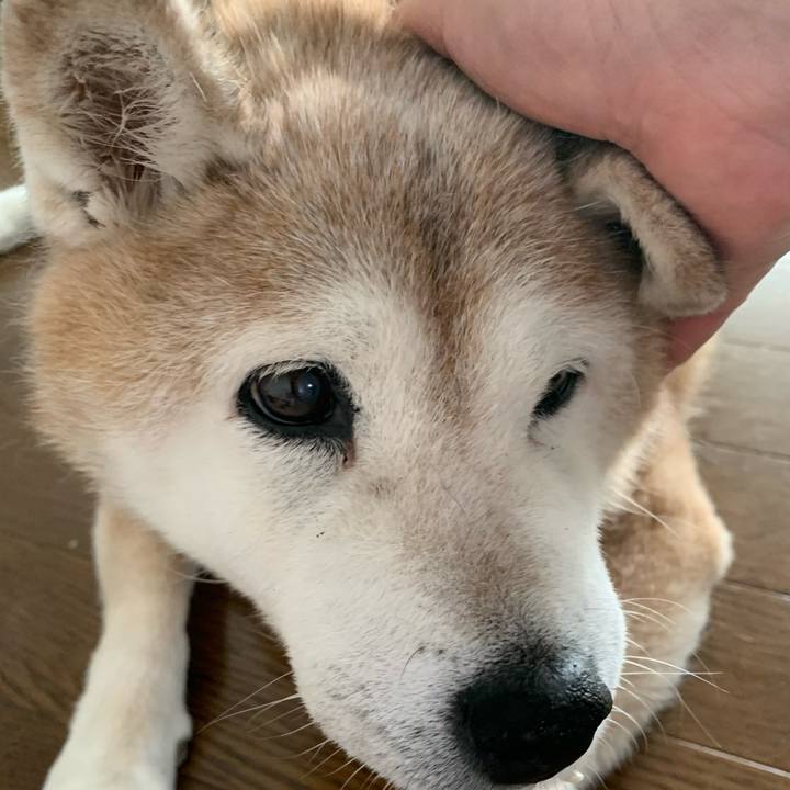 A8410d59 dd6f 40ec b09f 64fff2a769a5 1660453726974