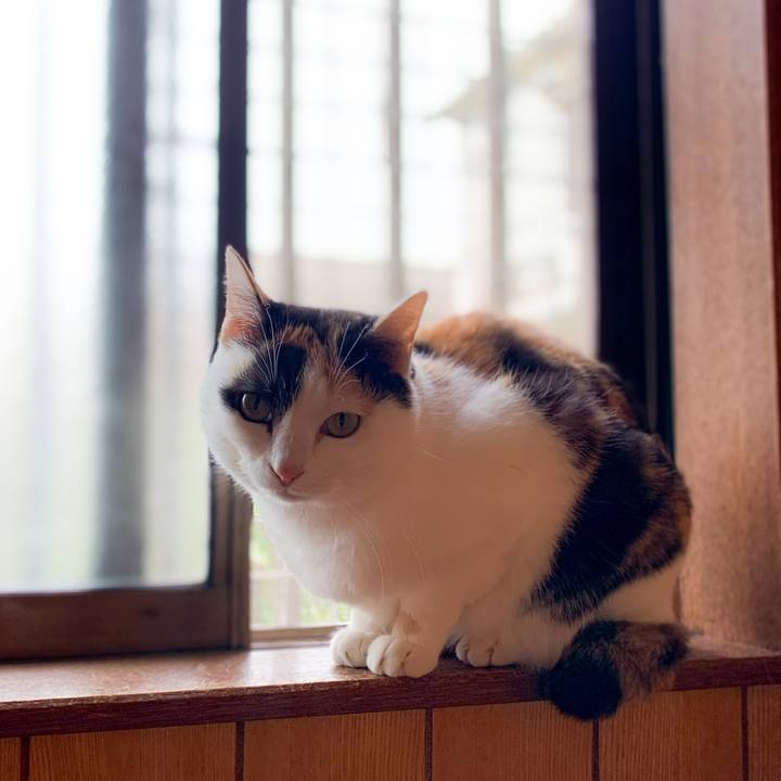 A8411657 d704 41d6 8476 c9b3d9c74266 1589505599580