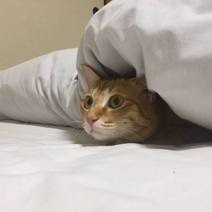 A8415dee c0aa 44ac a17a c66a8dbb5061 1520653730145