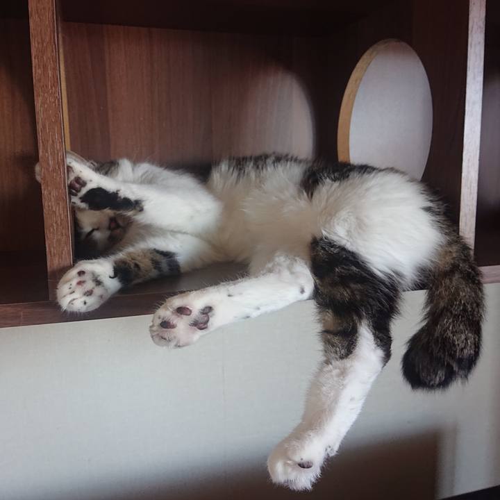 A84169ec 7eec 4ee0 82c5 60c35e3ee174 1691712109070