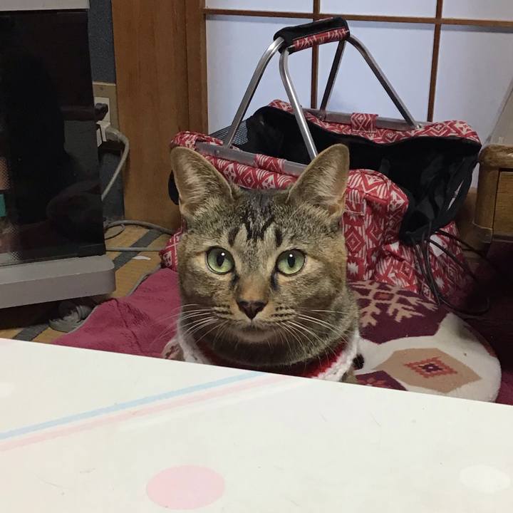 A8418092 c6d5 4dd5 85b8 0ed63de894ad 1609626452687