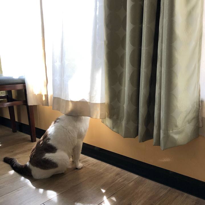 A8418f5a 780e 4f8d 984f 59f9a3fd27b8 1584582269764