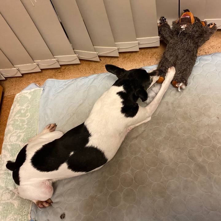 A841a2b3 bc56 47c5 bc4c 44bc341685df 1598355271219