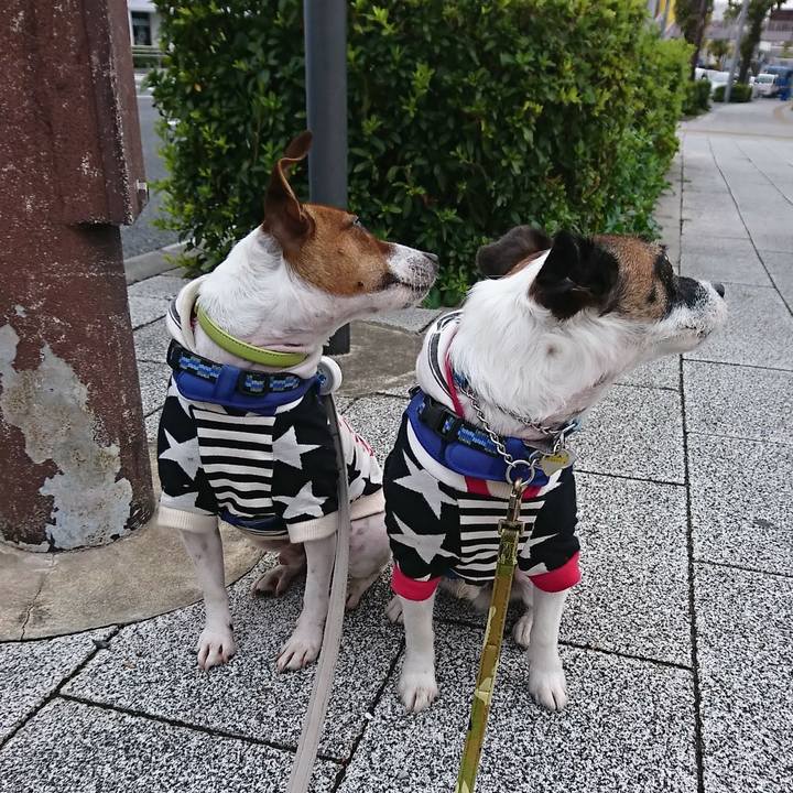 A841aed7 5207 45b1 881c 14c4ab349bc7 1574376971313