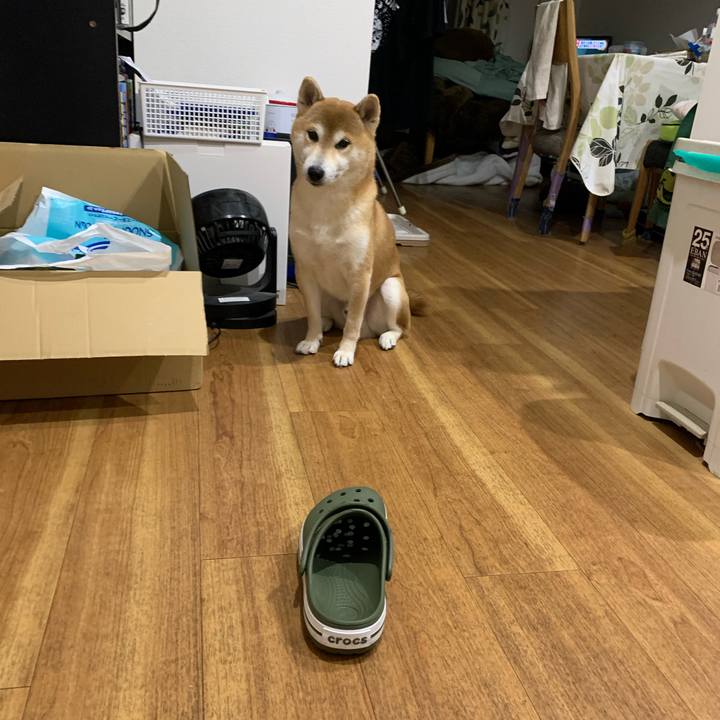 A841e1da cbf4 4b35 af58 31a1fea8a3a6 1578399486387