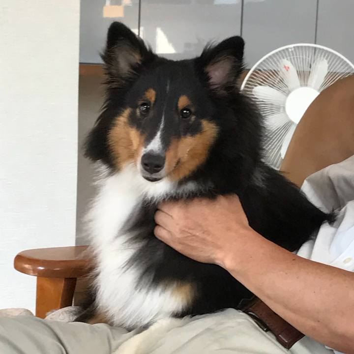 A841f72e eec0 4bfc a631 c07dfd292d2a 1533333128884