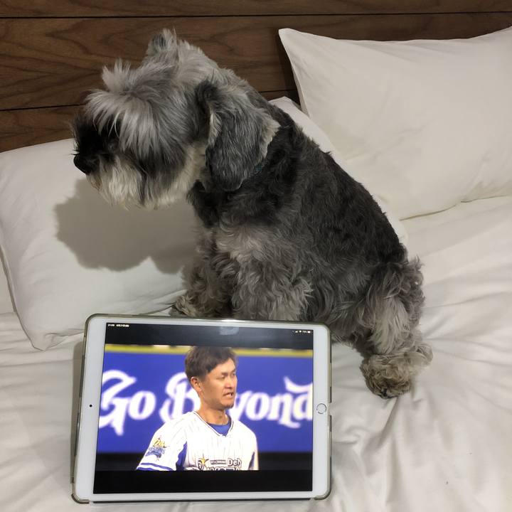 A84210f2 78fc 48cb 9403 c8dd2942a25e 1561119068906