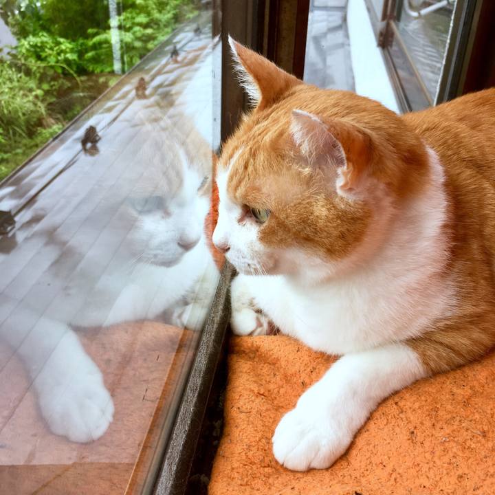 A8422db8 4bc3 43a2 9326 9976861bd7bc 1563098640932