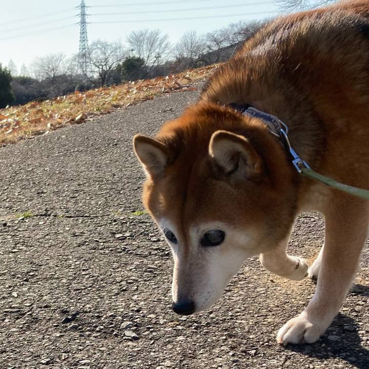 A8423991 46db 4e84 9db7 97d2ca18e054 1672208591408