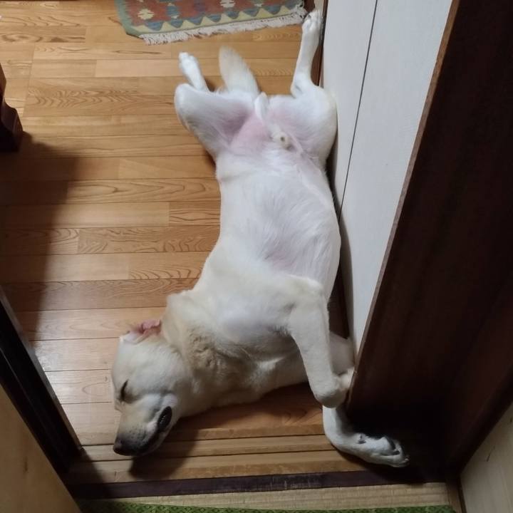 A842754e 1826 4aa6 8353 6f0b6c531565 1530281588817