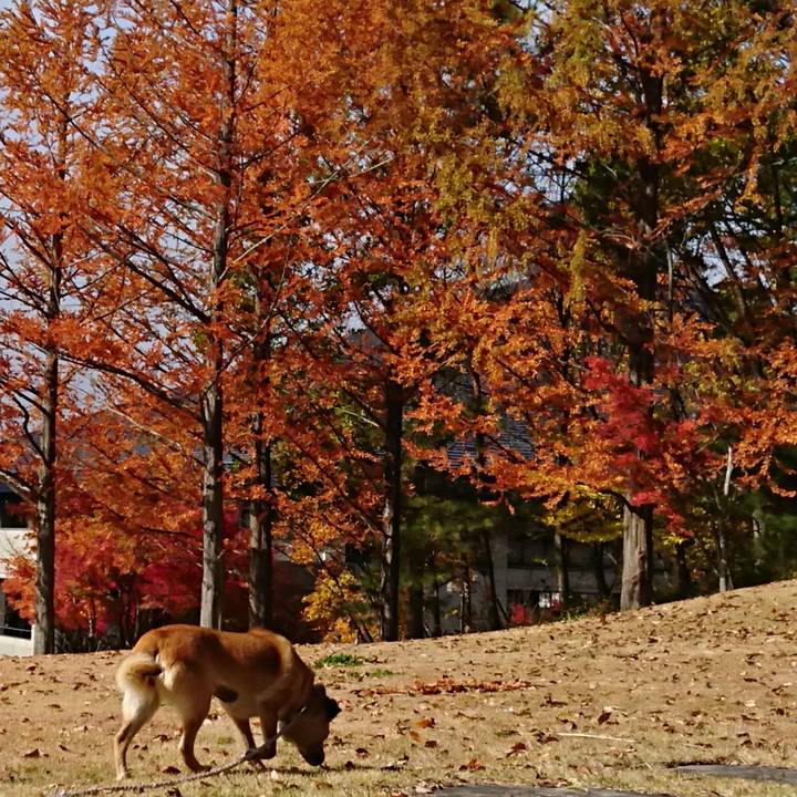 A842ae76 02ae 42b3 8de8 5bfac32af1fc 1633615506721