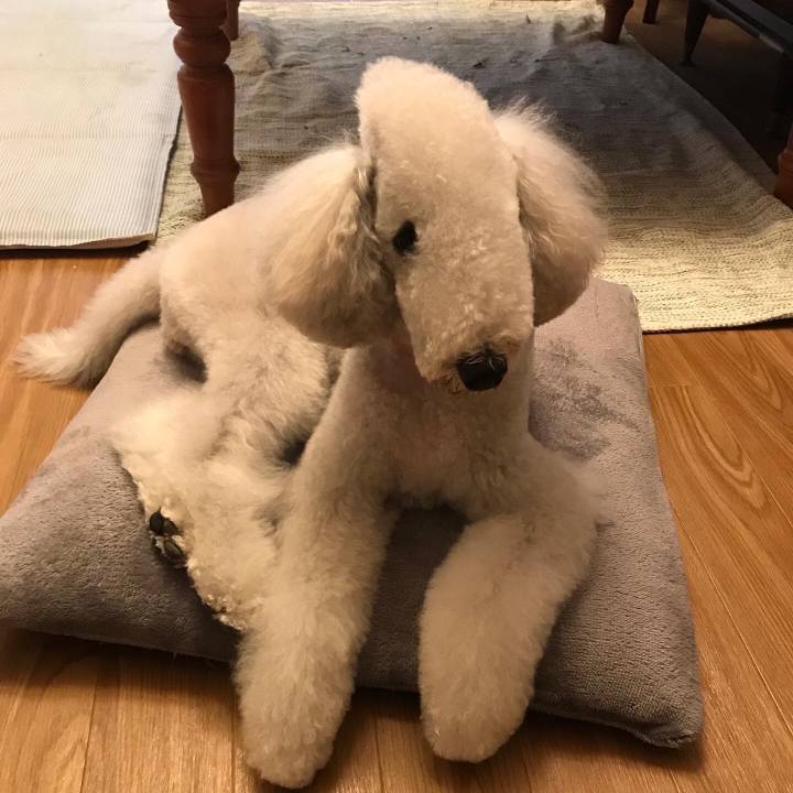 A842f382 48c4 44e6 b022 109bcfac4d4f 1663936260537