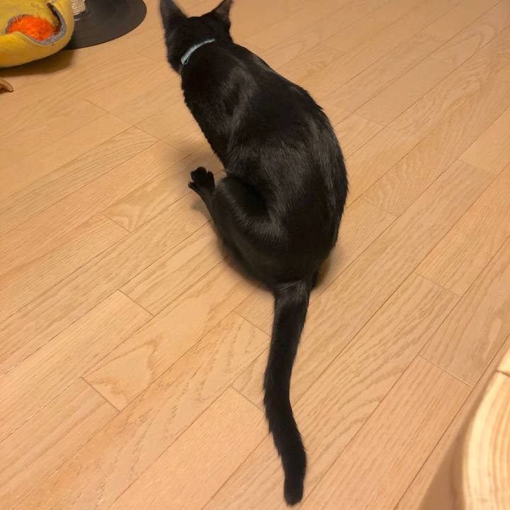 A8432a5f db48 482a 858f 871e78227a3b 1568380710818