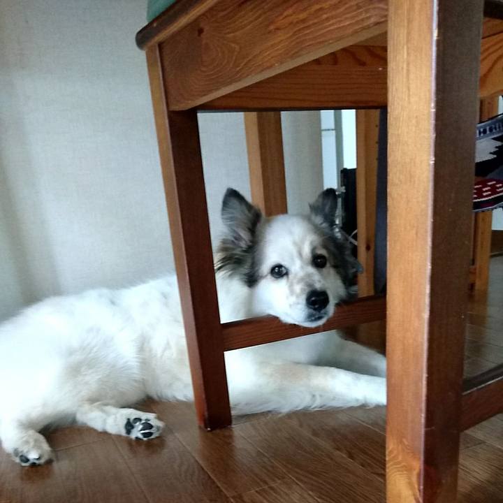 A8434066 c77f 41e4 9b2f 8be023ece104 1527769595553