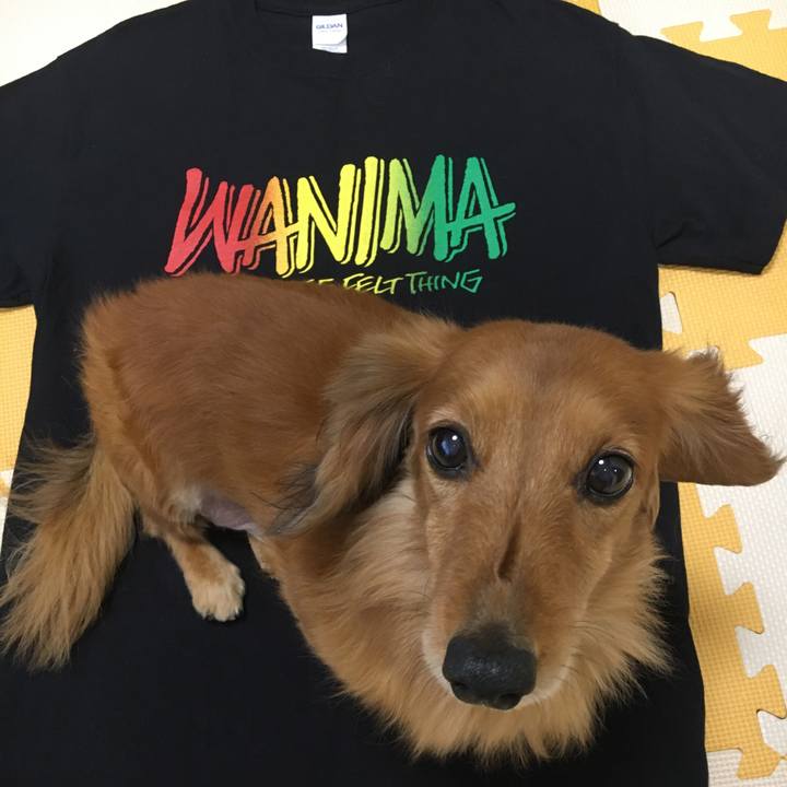 A8434610 2606 4eaa aa6a 40ed4a563730 1514715358992