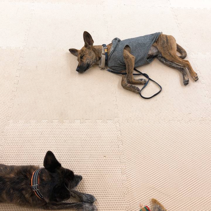 A84351a9 e6bd 408d b921 3312d100bdf6 1576329403532