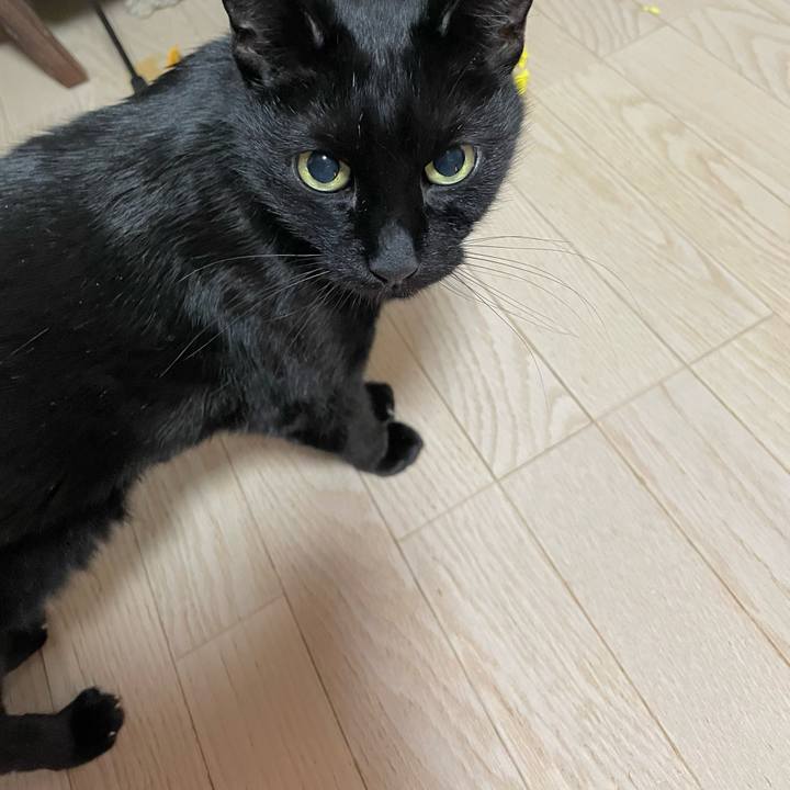 A8435476 8322 4324 9160 9659ca1925f2 1770037489720