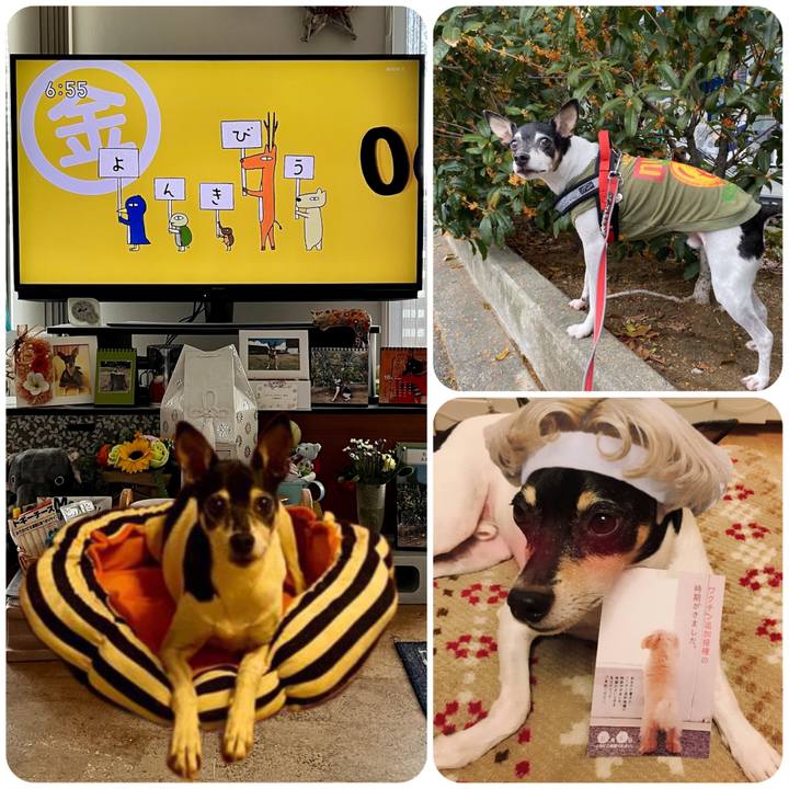 A8437a46 99ca 48f4 91a4 e6349a22f3d8 1666303127952