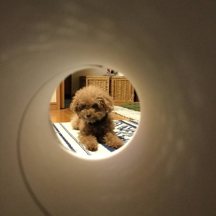 A8439abc ddab 4403 b354 aacd1371558c 1551046990428