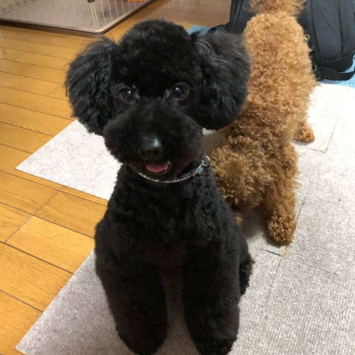 A843f6af 101e 469f 8607 f7b56fa6c1bf 1524913374566