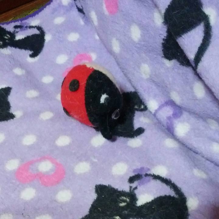 A8440238 c597 45e1 b17b 131d843808df 1542893033942