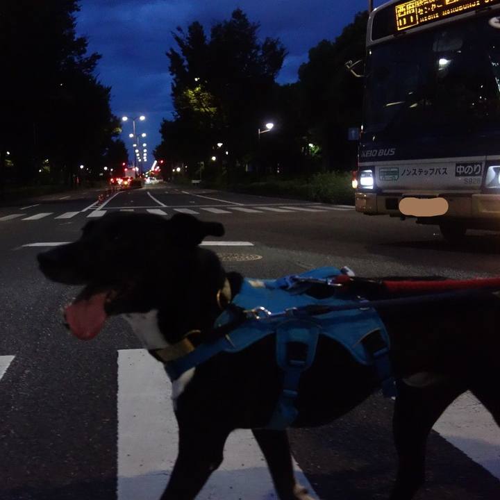 A84413bf 4e09 41a9 9808 f84f0eea9e81 1629543119035