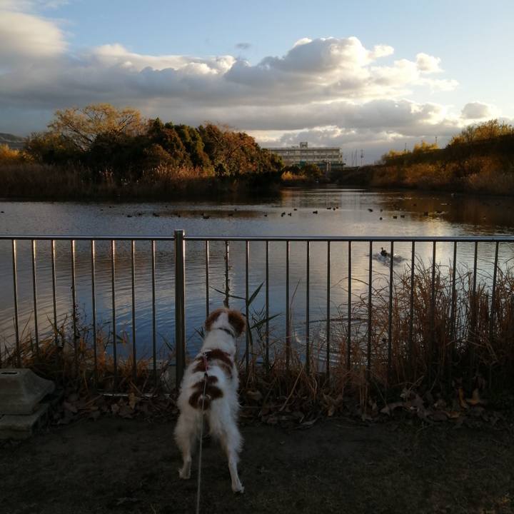 A8441551 8bfb 44bb 8053 00d7c6ea1bca 1608021871736