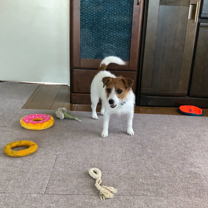 A8441d81 09b6 485d b1ea bbaf16b990c5 1538994033870