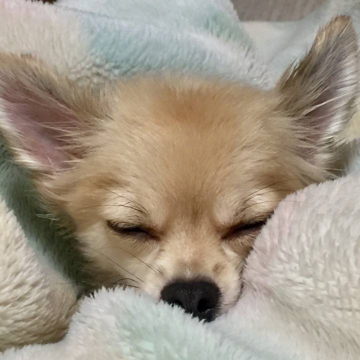 A8442507 c4c4 4c02 803c 33eb65037293 1540126085546