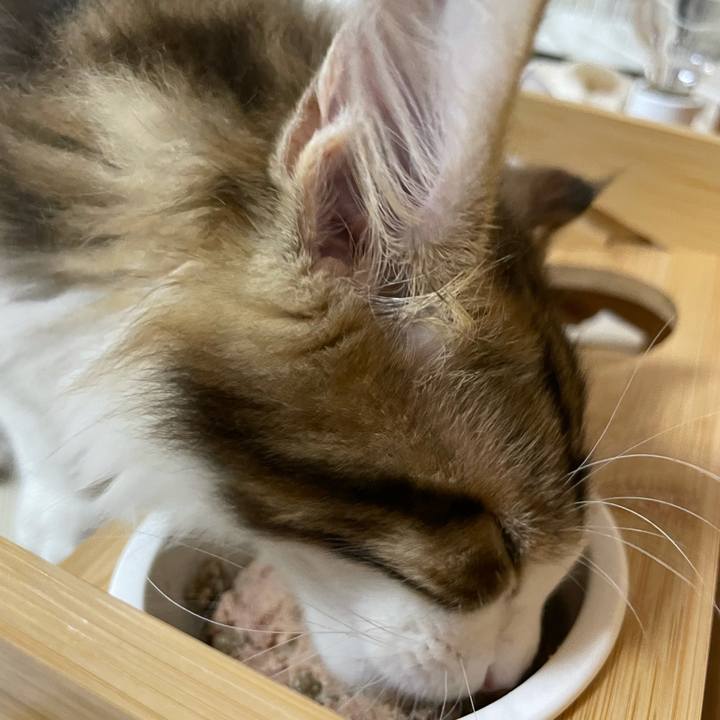 A84439da 0f98 4244 bee5 cf33fd1b4add 1633293769302