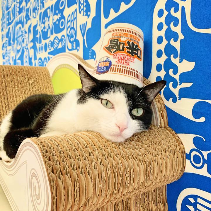 A8444b59 c765 4c67 955e 4da608653021 1559740213162