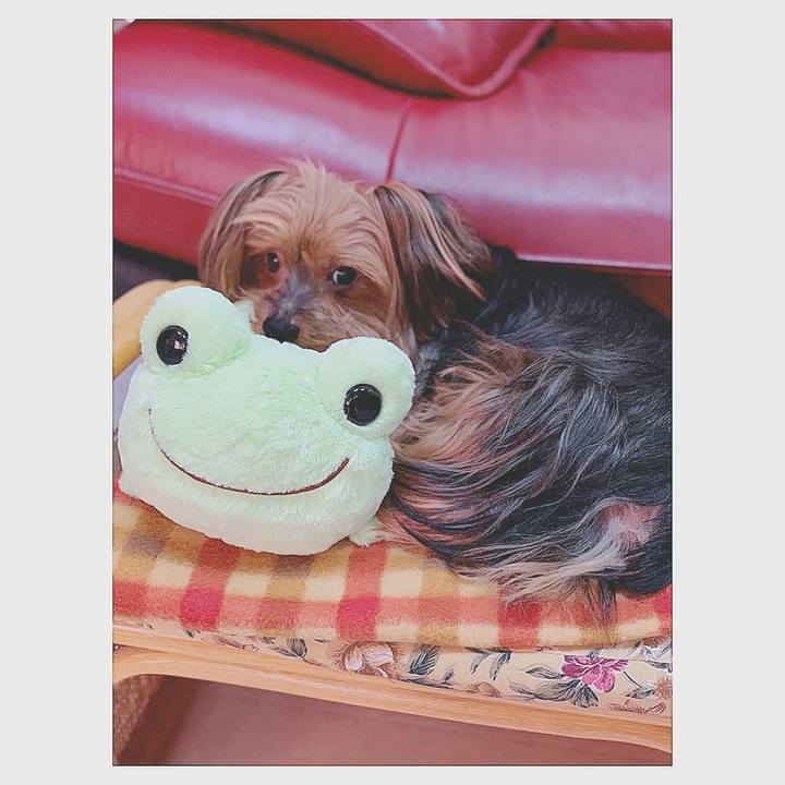 A8449218 7126 48cd aeeb c2d020075546 1540797439995