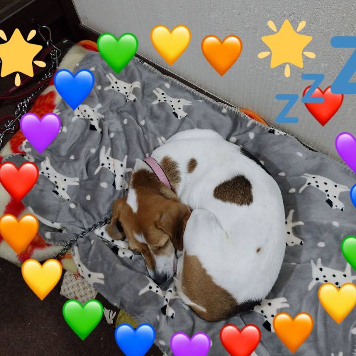 A844a411 c4c9 4a41 bc2e bcd1da149231 1580916353123