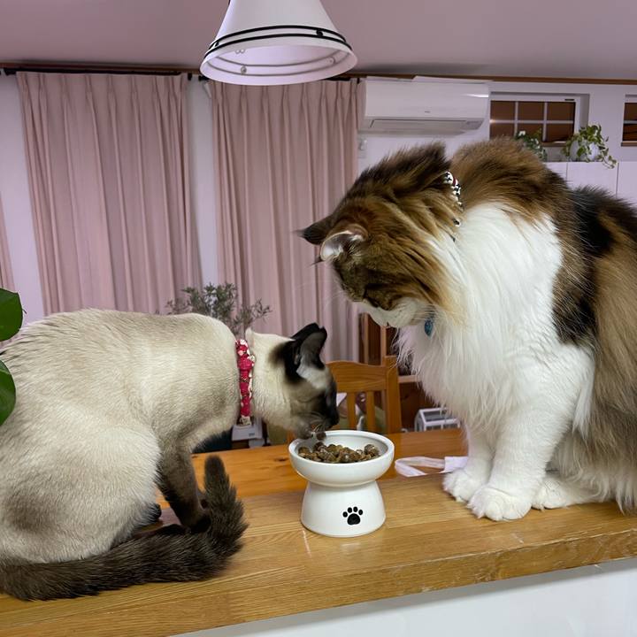 A84505b1 92b2 4222 a6e0 482f73d77769 1709241262965