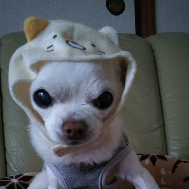 A8451151 5966 4f9e b88e 38e74fe9fe54 1533161164185