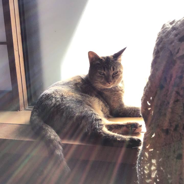 A845531a 0fa0 4158 825b d597ced5bedf 1757320759428