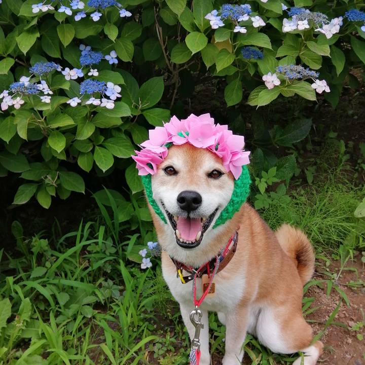 A845650f c0f4 420f b5a2 a97def78a1a3 1687508244051