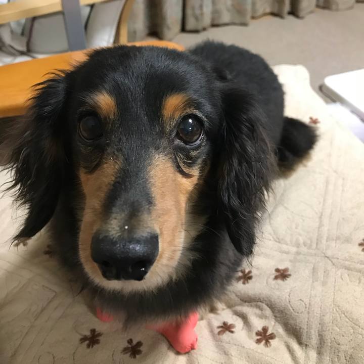 A845653c 6162 4720 a453 addc096d7b5f 1529586260714