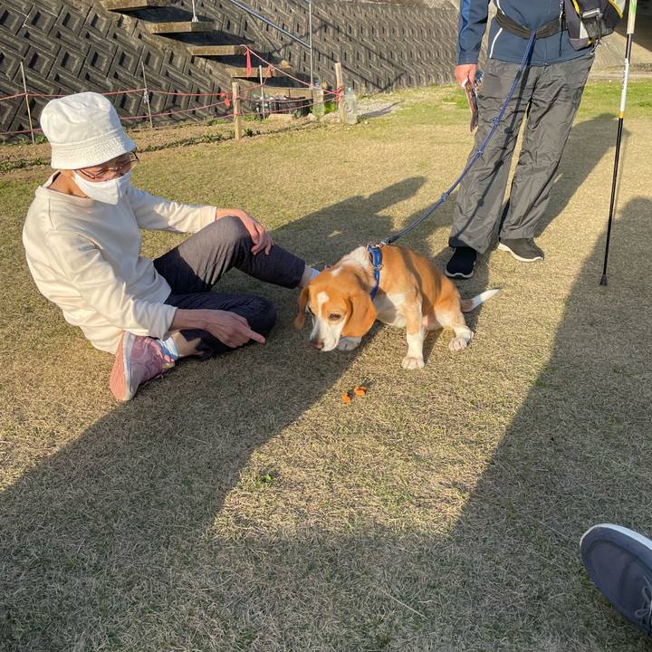 A8459ae3 abcc 4ef4 9bca f36a1c3294a6 1678798085156