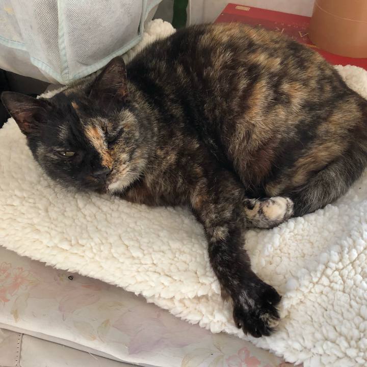 A845f3be 961b 4d11 85aa 5939498ce0fb 1550381278727