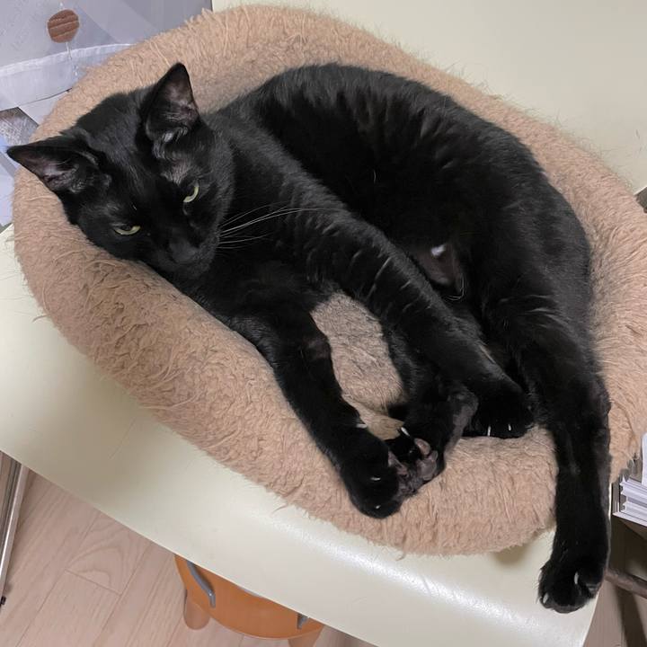 A8461b77 4cb7 4cb1 abee f70e716883f9 1683983873051