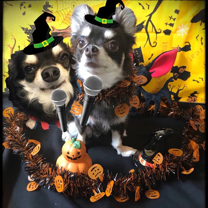 A8463d99 a164 4a7a 9f20 e230d9f3d540 1509421110167