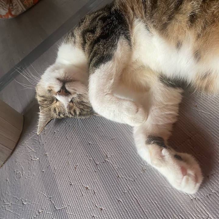 A8464016 2456 4c6e 9b9d b517d0d05f59 1658261927098