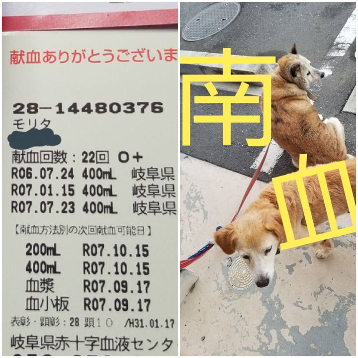 A84641f2 fb78 48d4 b761 cc154cb50f7a 1753262599441