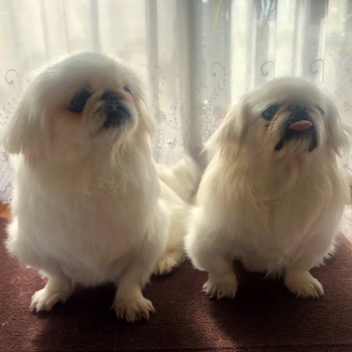 A846585b 756c 418c 9b26 c5593db56bf1 1611725097190