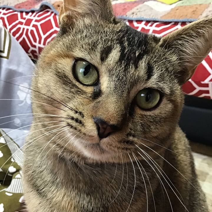 A8465a6f f972 4865 8b41 9ed7ec784f2b 1579256865642