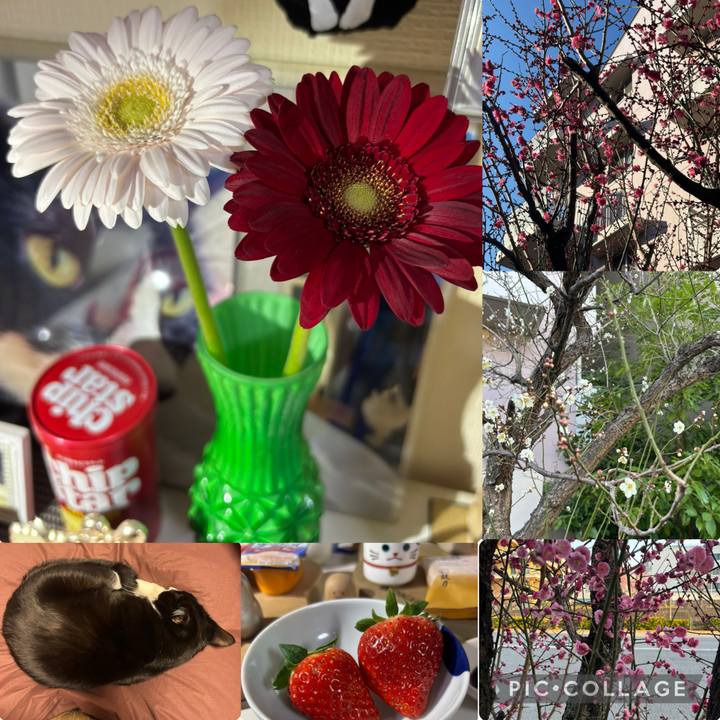 A8469829 de2e 43c2 ae31 e1f6987ddace 1768914481841